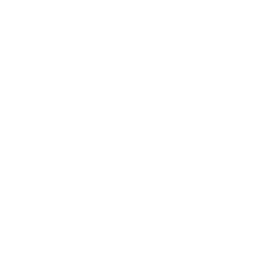 Mind Maze Logo